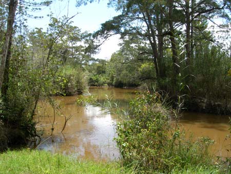 Nature in West Papua