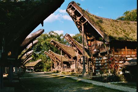 Torajaland village