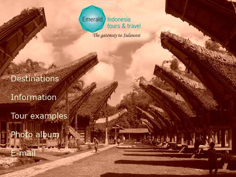 Traveling in Sulawesi, Toraja country